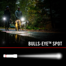 Coast G24 Dual Power 400lm